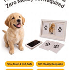 Golden retriever puppy with inkless paw print pad, impression cards and premium wooden frame included