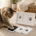 Kiddospot inkless kit with cat paw and nose print cards on wooden surface