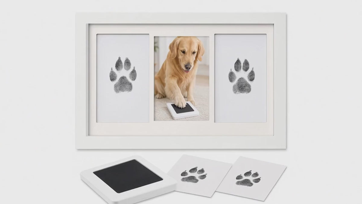 Kiddospot inkless pet paw and nose print kit lifestyle video — dogs and cats keepsake