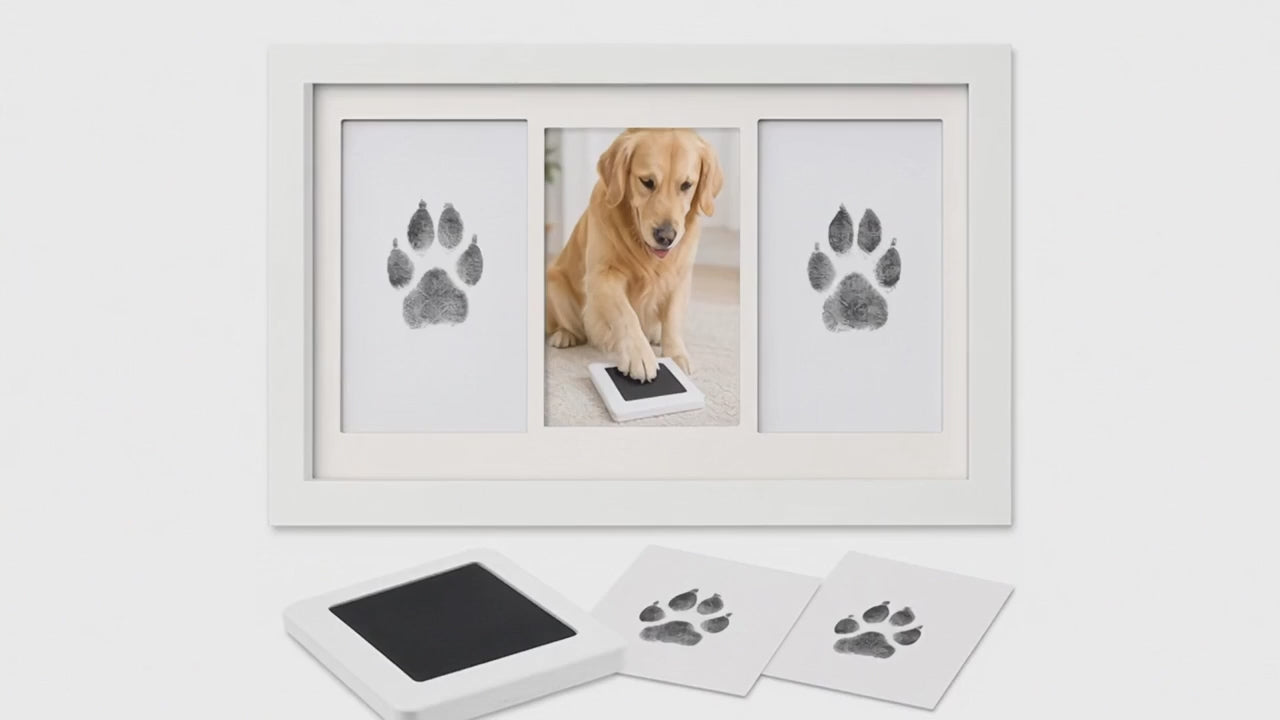 Kiddospot inkless pet paw and nose print kit lifestyle video — dogs and cats keepsake